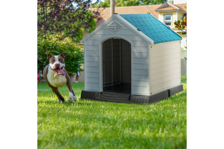 Wayfair  Dog House Accessories You'll Love in 2023