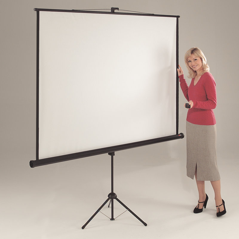 Symple Stuff Portable Projector Screen Projector Screen, 200 cm H x 200 cm W