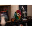 Fuse Vert Standard - Tourne-disque vinyle vertical avec Bluetooth