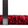  Tapis rouge