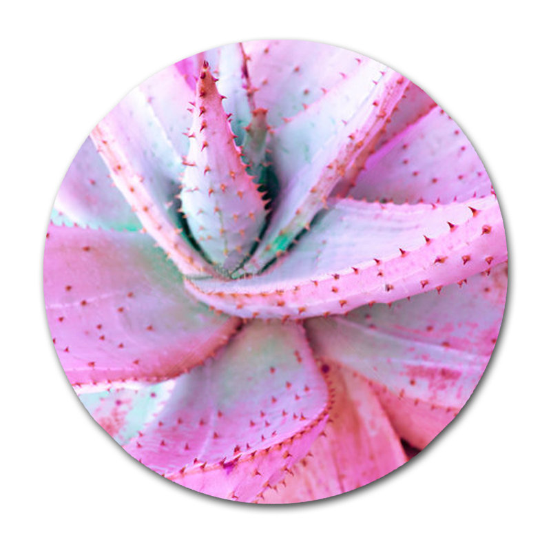 Aloès rose - photographie, H 24 po x l 24 po x P 2,5 po, Acrylique