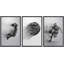 «Sport Play Basketball on Canvas», reproduction de 3 pièces-121503716-121503712