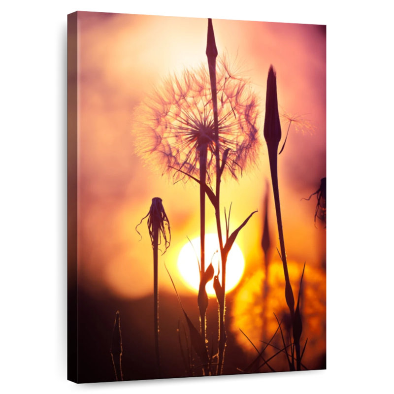 Pissenlits Harnek au coucher du soleil, H 12 po x l 8 po