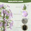 180cm Tree