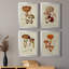 Mushroom Variétés I - Ensemble de 4 peintures sur toile encadrées-1710397846-1710397851