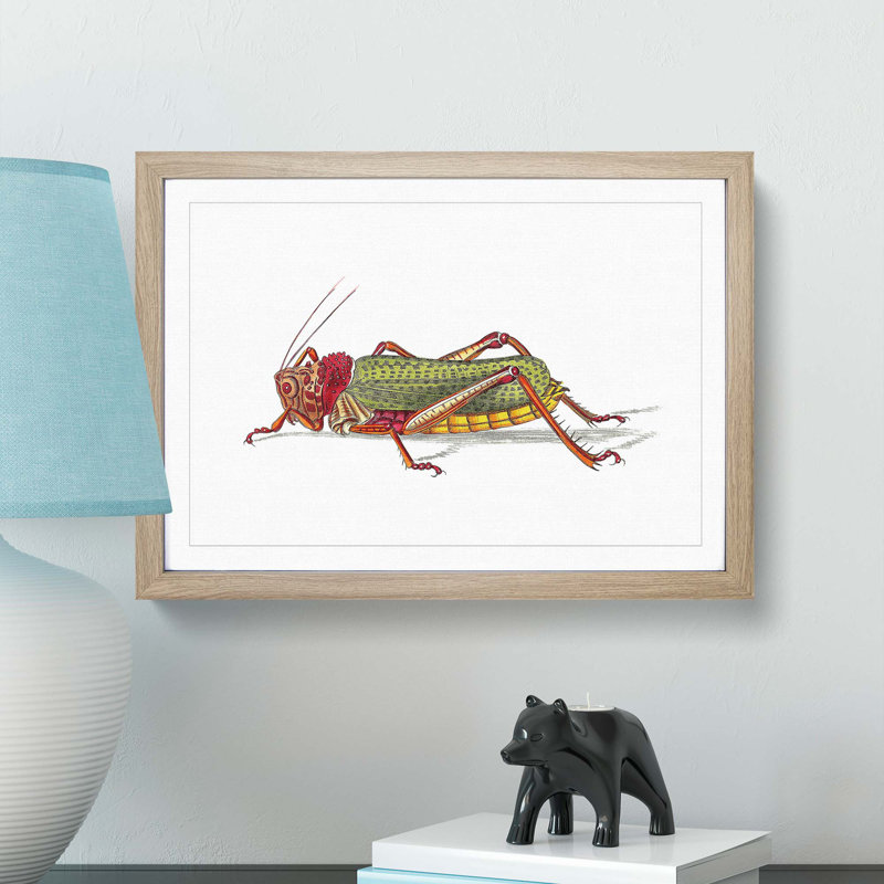 Granulated Locust by George Shaw - Framed Print, 27cm H x 36cm W x 2cm D, Oak Framed