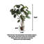 Grande plante de bambou verte à l'arrière-110826927