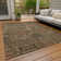 Segin Area Rug with Non-Slip Backing