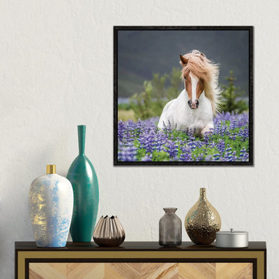 Trotting Icelandic Horse II, Lupine Fields, Iceland by Panoramic Images - Print on Canvas