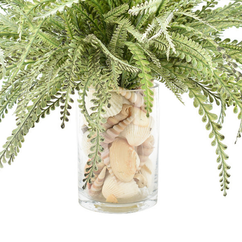 Feather Fern Arrangement with Shells