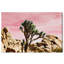 « joshua tree rose », impression-929072101-929071927