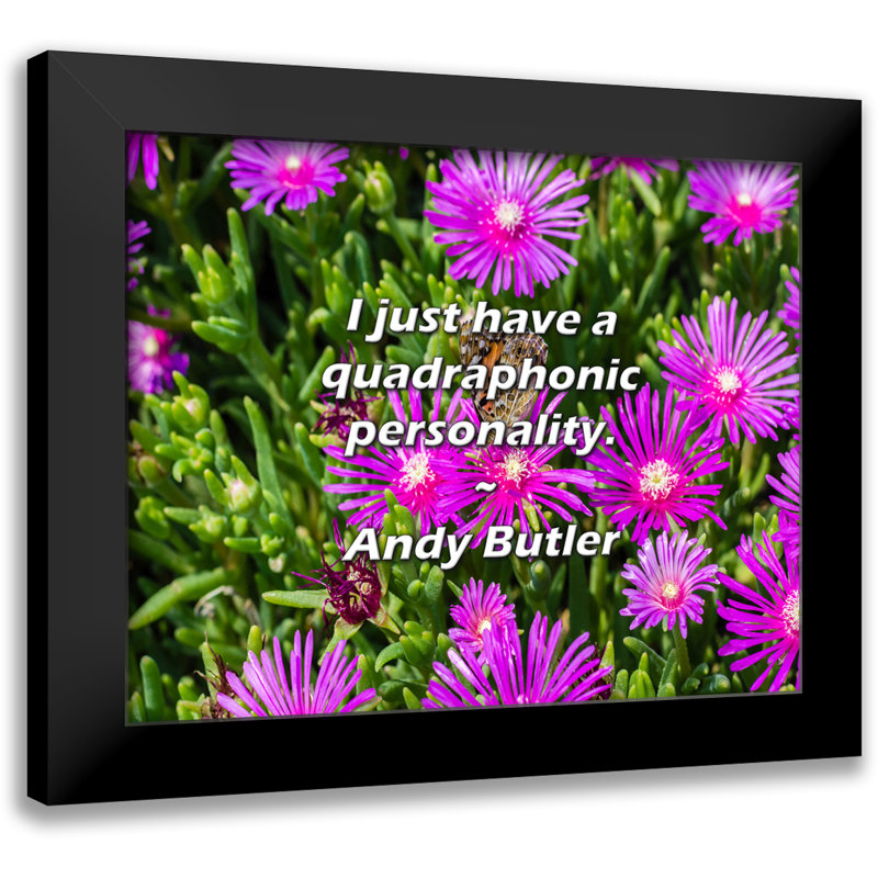 Andy Butler Citation: J'ai juste une personnalité quadraphonique.