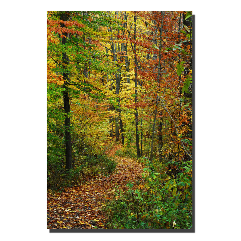 Fall Trail Landscape Framed Canvas Art in Portrait Orientation