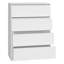 Malwa Rectangle Accent Chest-1675314871