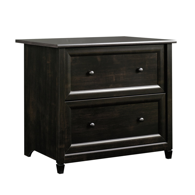 Ariza 33.31'' Wide 2 -Drawer File Cabinet, Estate Black