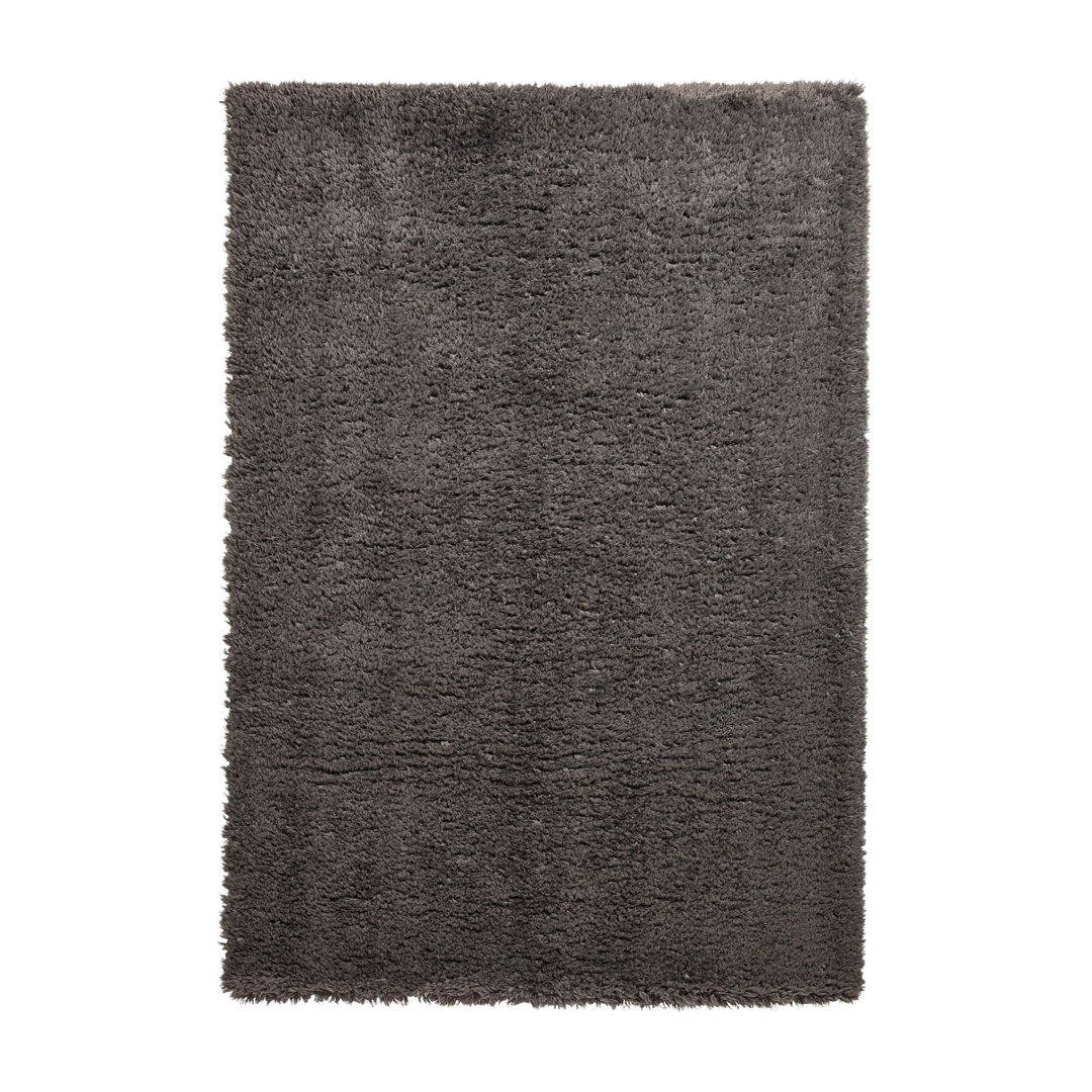 Alvery No Pattern Machine Woven Charcoal Area Rug