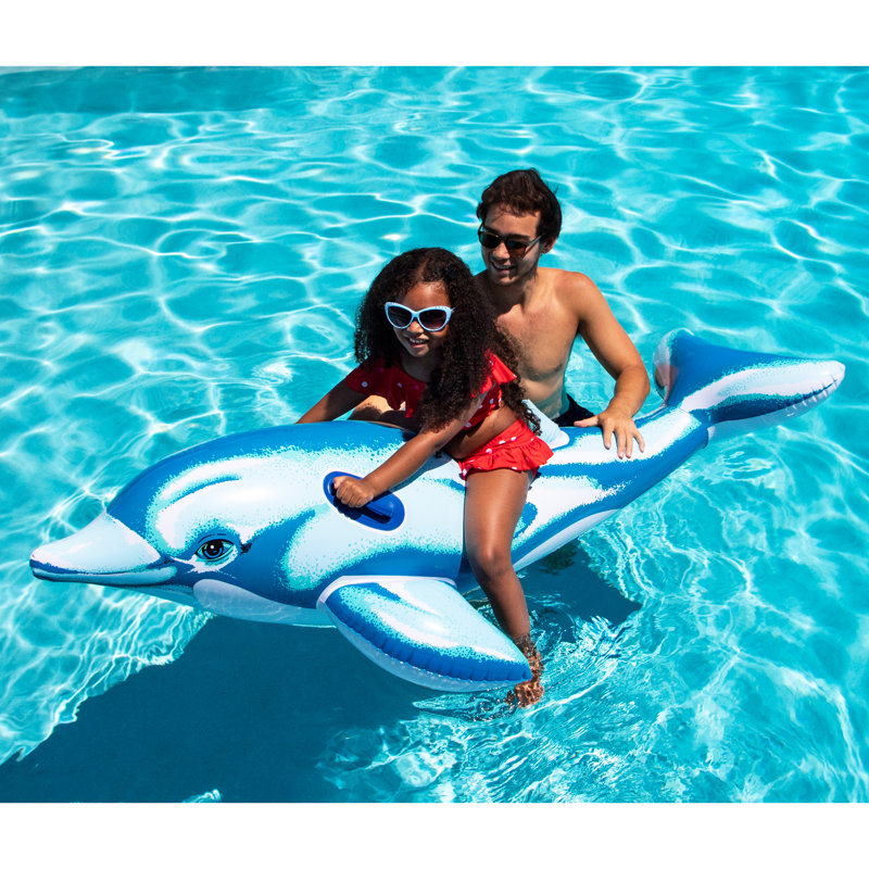 Pool Dolphin Cover