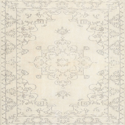 Oriental Indoor Rug
