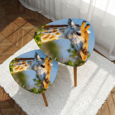 Ensemble de 2 tables basses gigognes Triangle