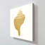 "Decorative Shell III" by Tava Studios Print on Canvas-851150902