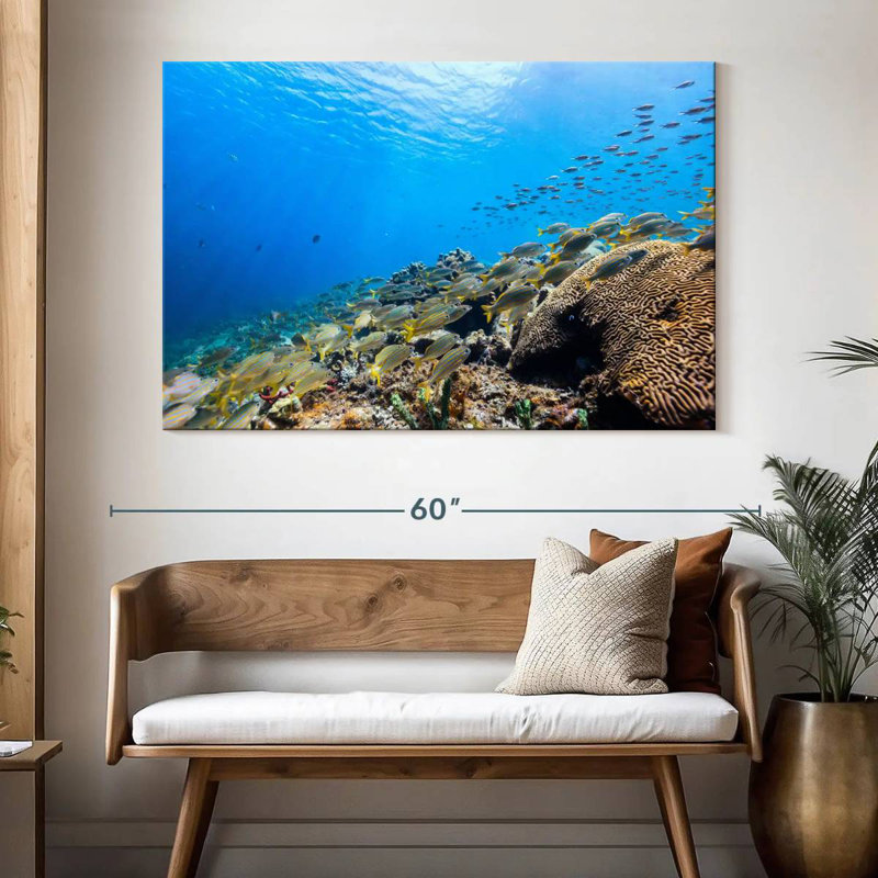Aletra St. Lucia Ocean Life, 34" H x 51" W
