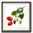 " Strawberry Study II "-1792901317-1793247403-1793252488