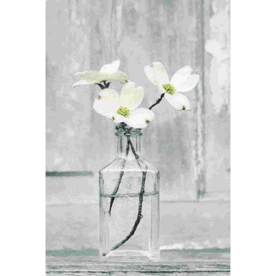 Cornouiller en fleurs 2884124
