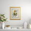 Butterfly Oasis II Print