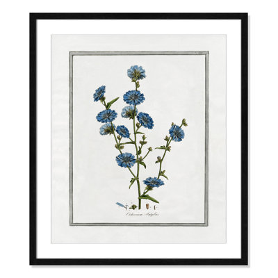 Soft Botanical I