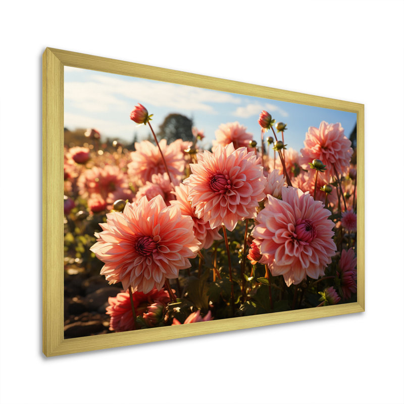 Dahlia Field Sunrise III - Floral Canvas Wall Art, Cadre doré à une seule photo, H 16 po x l 32 po x P 1 po
