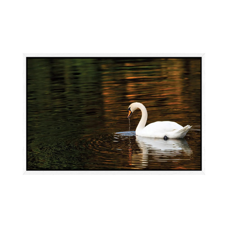 Autumn Reflections by David Gardiner - Gallery-Wrapped Canvas Giclée on Canvas, White Framed, 66.04 cm H x 45.72 cm W