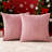 Soft Throw Pillow Cover 18"*18" 2 Pieces-2099817469-2099817462