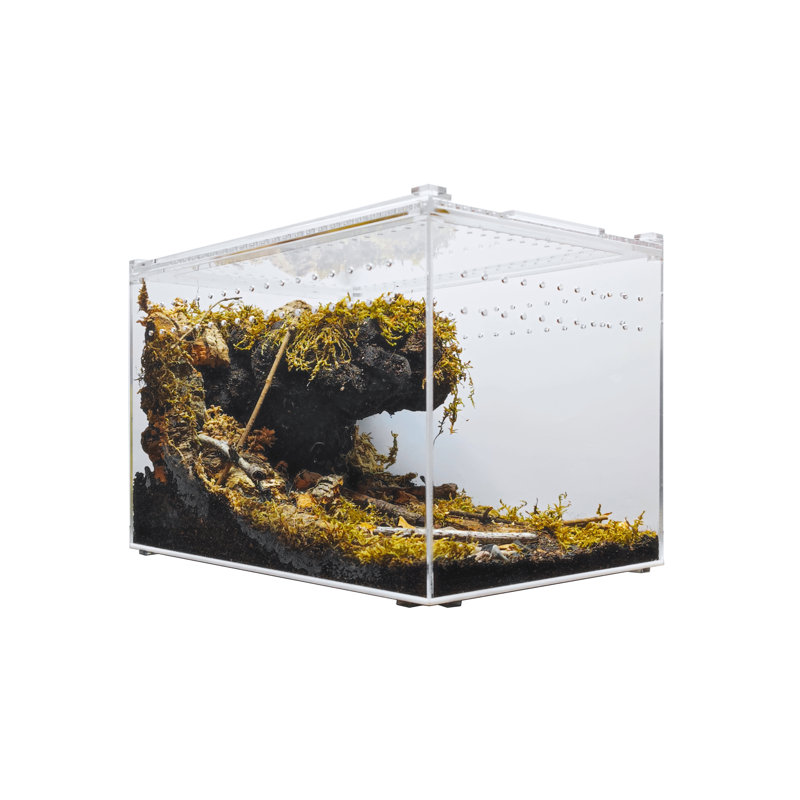 12'' x Acrylic Reptile Terrarium, 3 Gallon - 8"H x 8"W x 12"D