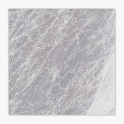 Carreau de mur et de sol en marbre 12 po x 12 po Norde Grigio