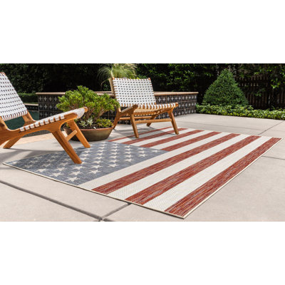 Indoor / Outdoor Area Rug