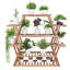 Anandwati Plant Stand