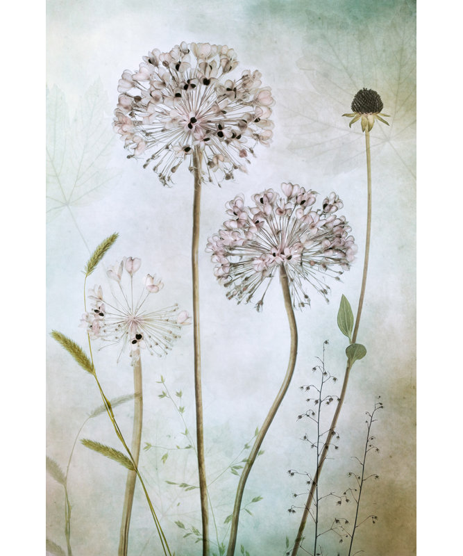 Wrapped Canvas Print, 121.92 cm H x 81.28 cm W