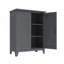 Armoire de rangement en métal avec beaucoup d'espace