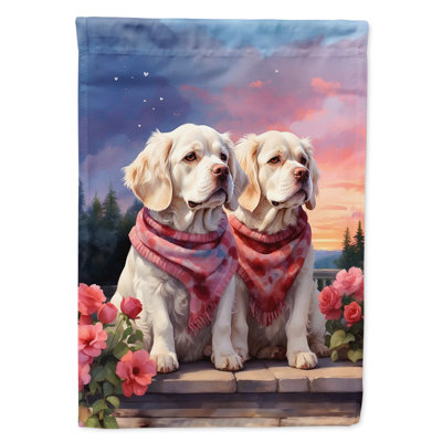 Drapeau pour chien double face H 40 po x l 28 po