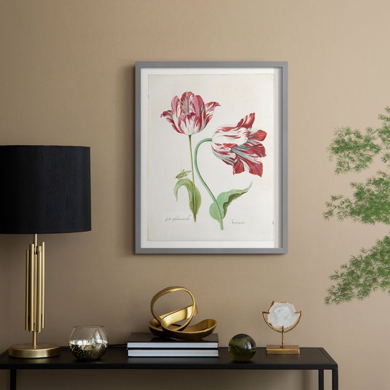 Deux tulipes II, reproduction encadrée - bois massif, Gris, H 11 po x l 9 po