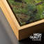 Serene Forest Creek, œuvre d'art, impression sur toile encadrée, impression sur toile-1585164820-1585164843