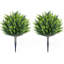 Plant-15967655-15967673