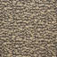 Fauna Fabric-31462678