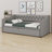 Twin Size Upholstered Daybed With Pop Up Trundle-99051673