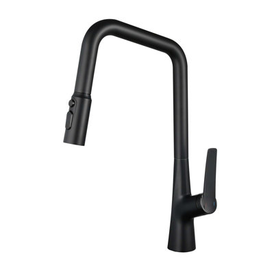 Professional Kitchen Faucet with 3 Function 360 Spraye & One Touch Switching