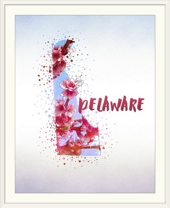 Delaware State Flower (Peach Blossom) - reproduction d'art, H 23 po x l 20 po x P 1 po, Cadre blanc