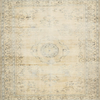 Oriental Indoor Rug