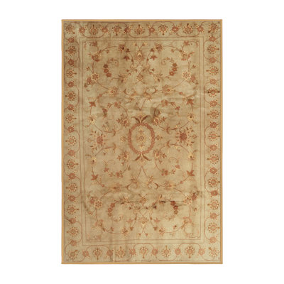 Oriental Indoor Rug