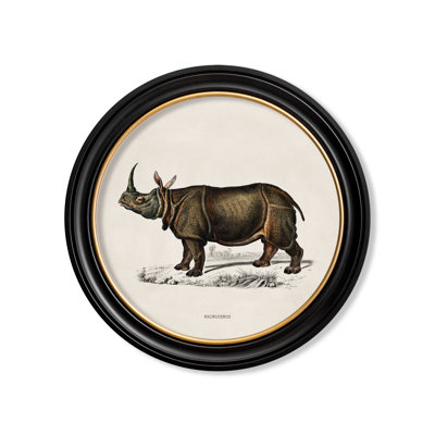 Rhino by Mid-1800s - Single Picture Frame Print on Archival Matt 230gsm Paper