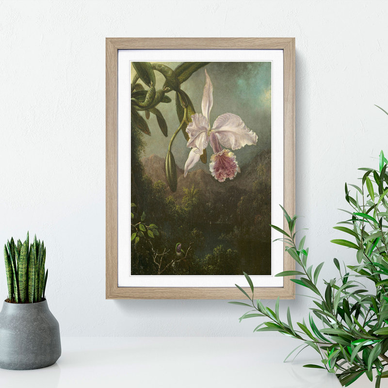 Orchid Blossoms by Martin Johnson Heade - Framed Print, 48cm H x 36cm W x 2cm D, Oak Framed
